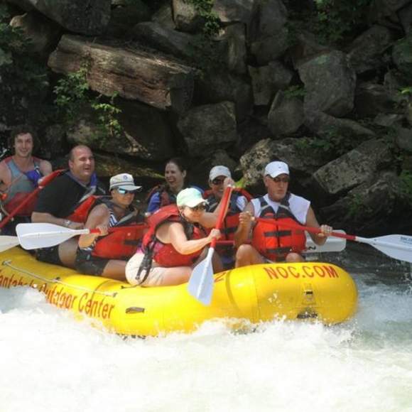 Meet your Posher, Mia - Picture 1 of 1